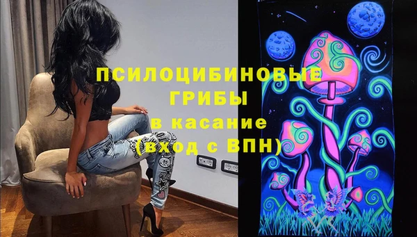 бошки Белокуриха