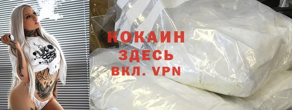 бошки Белокуриха