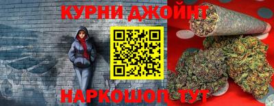 сатива Лесосибирск