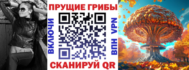 OMG маркетплейс где купить наркотик Гулькевичи сайты даркнета официальный сайт Галлюциногенные грибы Cubensis