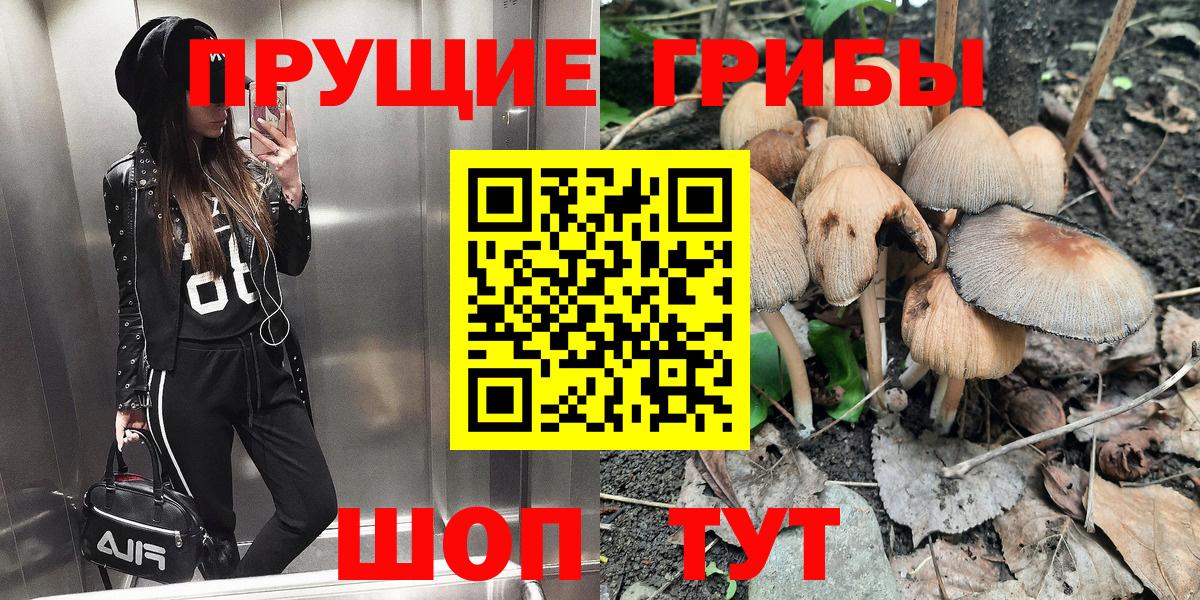 Гулькевичи  Псилоцибиновые грибы GOLDEN TEACHER  сколько стоит  Вход с VPN 